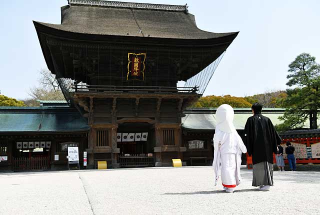 福岡の結婚式 和婚 神社婚 なら筥崎宮ウェディング